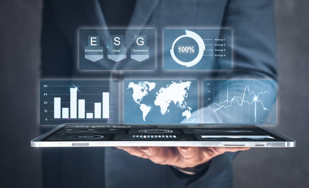 A Data Governance Manager